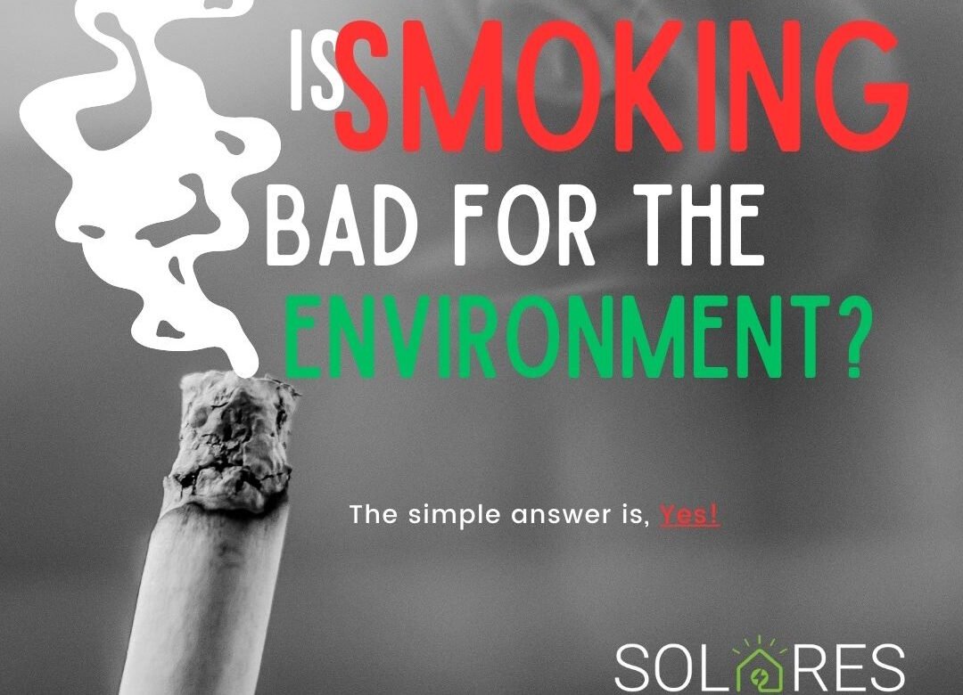 is-smoking-bad-for-the-environment